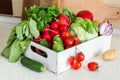 Selection of fresh vegetables from farmers market Royalty Free Stock Photo