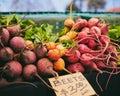 Selection of freshly harvested beets and radishes displayed for sale at a local farmer's market Royalty Free Stock Photo