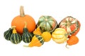 Selection of gourds, pumpkins and squashes Royalty Free Stock Photo