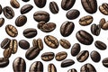 A selection of gourmet coffee beans