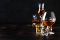 Selection of hard alcoholic drinks in big glasses and small shot glass in assortent: vodka, rum, cognac, tequila, brandy and