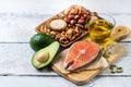 Selection of healthy fat sources food, life concept Royalty Free Stock Photo