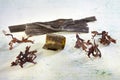 Selection of Japanese seaweeds