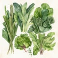 selection of leafy greens