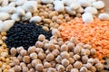 Selection of legumes many spacies selective focus Royalty Free Stock Photo