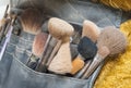 Selection of makeup brushes in pouch