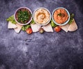 Selection of Middle Eastern or Arabic appetizers Royalty Free Stock Photo