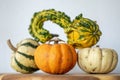 Selection of mini pumpkin decorations