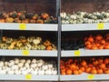 A selection of mini pumpkins in a variety of colors.