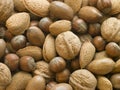 Selection of Mixed Nuts in Shell Royalty Free Stock Photo