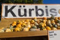 Selection of ornamental pumkins Royalty Free Stock Photo