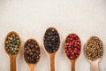 Selection of pepper seeds on wooden spoons