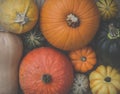 A Selection of Pumpkins, Winter Squash and Gourds Royalty Free Stock Photo