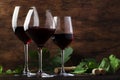 Selection of red wine on wine tasting. Dry, semi-dry, sweet red wines in special wine glasses on old wooden table background. Copy