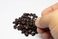 Selection of roasted coffee beans seed. Person with grains in hand. Macro. Whole food. - Image