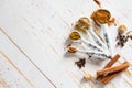 Selection of spices for christmas and thanksgiving Royalty Free Stock Photo