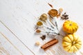 Selection of spices for christmas and thanksgiving Royalty Free Stock Photo