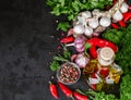 Selection of spices herbs and greens. Ingredients for cooking. Food background on black slate table Royalty Free Stock Photo