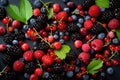 Selection of summer berry fruits Royalty Free Stock Photo