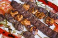 Selection of traditional turkish kebab Royalty Free Stock Photo