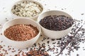 Selection of variety of gourmet rice in bowls. Selective focus Royalty Free Stock Photo