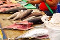 Selection of various fish laid out for sale at Royalty Free Stock Photo