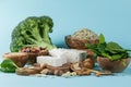 Selection of vegetarian protein sources - healthy diet concent