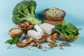 Selection of vegetarian protein sources - healthy diet concent