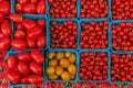 Selection of ripe red and yellow cherry and plum tomatoes at an outdoor farmers market in Manhattan, New York, USA Royalty Free Stock Photo