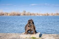 Selective blur on cogwheels and gear iof an abandoned winch heavy machinery on a quay over the danube river in belgrade, zemun,