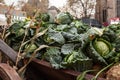 Selective blur on a pile of savoy cabbage for sale on Dortmund Market in Germany. Savoy Cabbage, or brassica oleracea sabauda is a Royalty Free Stock Photo