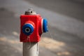 Selective blur on a red and blue fire hydrant from the Serbian firefighters, in a street. Royalty Free Stock Photo