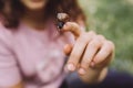 Selective closeup shot of a female with a purple shirt holding a ladybug with a blurred background Royalty Free Stock Photo