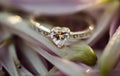 Selective closeup focus shot of a heart-shaped diamond ring on a flower with a blurred background Royalty Free Stock Photo