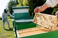 selective focus of apiarist holding honeycomb