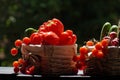 Selective focus of an assortment of fresh vegetables in baskets Royalty Free Stock Photo