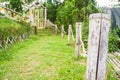 Bamboo poles and fence in garden at backyard Royalty Free Stock Photo