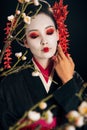 Focus of beautiful geisha in black kimono with red flowers in hair touching face and sakura branches isolated on black Royalty Free Stock Photo