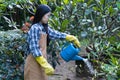 Selective focus,Beautiful young asian woman gardening in brown apron
