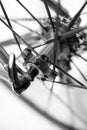 Selective focus on bicycle quick disconnect wheel