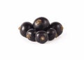 Selective focus. Blackcurrant with copy space for text. Ripe and tasty black berry isolated on white. Royalty Free Stock Photo