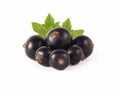 Selective focus. Blackcurrant with copy space for text. Ripe and tasty black berry isolated on white. Royalty Free Stock Photo