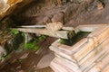 Selective focus of blessed holy water running out from water spout at Vat Phou (Wat Phu), southern Laos Royalty Free Stock Photo