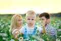 Selective focus. A blond boy with an aggrieved face in the foreground, his mother and father in the background on a blooming field Royalty Free Stock Photo