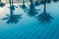 Selective focus on blue reflection of palm trees in pool water. Swimming pool Royalty Free Stock Photo