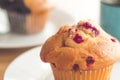 Selective focus Blueberry muffins in a basket  baked blueberry muffins cooling with warm lighting Royalty Free Stock Photo