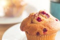 Selective focus Blueberry muffins in a basket  baked blueberry muffins cooling with warm lighting Royalty Free Stock Photo