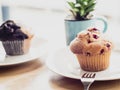 Selective focus Blueberry muffins in a basket  baked blueberry muffins cooling with warm lighting Royalty Free Stock Photo