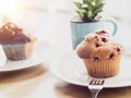 Selective focus Blueberry muffins in a basket  baked blueberry muffins cooling with warm lighting Royalty Free Stock Photo