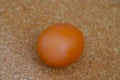 Selective focus, blurred background, yellow house egg on the countertop. Royalty Free Stock Photo